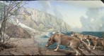 Bell Museum: Timber Wolves