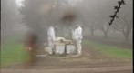 National Honey  Bee Survey Sampling 2