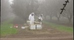 National Honey Bee Survey Sampling 3