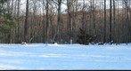 Cabin in Pennsylvania