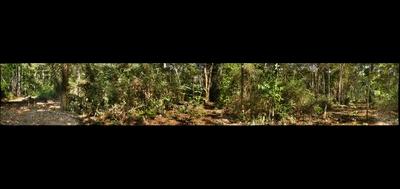 7022-400x189