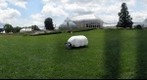 Mower 2