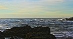 Seals
