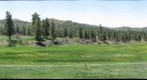 Colorado Meadow