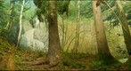 Bell Museum: Owl and Songbirds