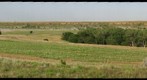 Pastoral Scene near Cedar Bluff Reservoir
