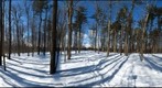 Dairy Bush GigaPan - 76 - Feb 03 2011