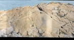 Cape Alitak Petroglyphs