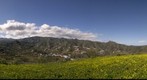 Los Arbejales, Teror. Isla de Gran Canaria