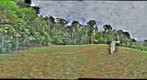 110206 - The forest after a night of moth-lighting at Inselberg Camp - Nouragues Field Station, French Guiana