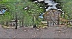 110210 - Inselberg Camp, Nouragues Field Station, French Guiana