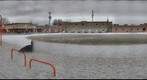 Kellogg Playground