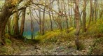 Bell Museum: May in the Big Woods