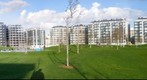 Parque de Vioño