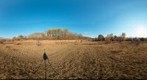 Lobau, Vienna Austria, 360°