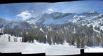 Alta bark Beetle survey project - (01) Top of Sunnyside lift [site selection image set]