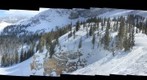 Alta bark Beetle survey project - (03) Lower Razorback [site selection image set] 
