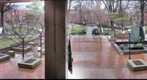 Marshall's Campus 