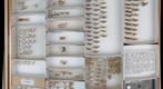Cosmopterigidae / Scythrididae / Gelechiidae