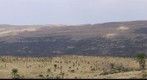 Simien Mountains - close to Inatye