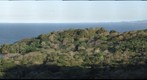 View of forest on the southern shore of Lake Nicaragua