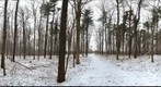 Dairy Bush GigaPan - 78 - Feb 24 2011