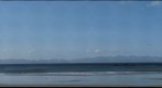 Ostional beach