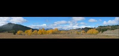 7150-400x189