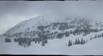 Alta bark Beetle survey project - (05) Top of Wildcat lift [site selection image set]
