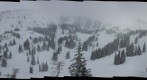 Alta bark Beetle survey project - (06) Hamburger Hill, above Collins mid-station [site selection image set] 