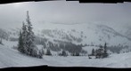 Alta bark Beetle survey project - (07) High Traverse, below 3rds gate [site selection image set] 