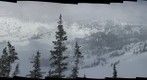 Alta bark Beetle survey project - (08) 3rds, Greeley side, far right [site selection image set] 