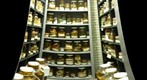 Snakes in Jars
