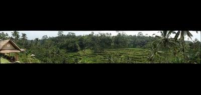 71549-400x189