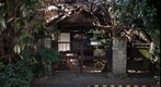 Japan Surface 20110225