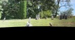 Pennsylvania Grand Review USCT Hallowed Ground