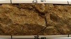 Captina C2-C5