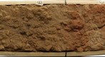Leetonia