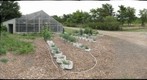 Root Tube Array