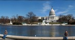THE CAPITOL