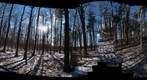 Dairy Bush GigaPan - 79 - March 02 2011