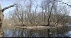 Stream at Harpers Meadow