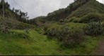 Los Tilos de Moya, Isla de Gran Canaria