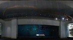 Under the Sea