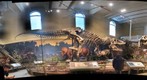 T-Rex