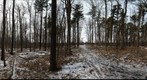 Dairy Bush GigaPan - 79 - March 02 2011 
