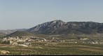 La Algueña