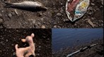 RiverBed 20110305