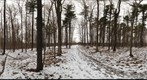 Dairy Bush GigaPan - 80 - March 09 2011