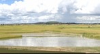 Tananarive  Madagascar
